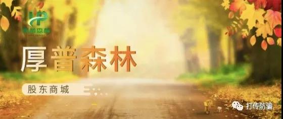 玖壹购商场传销