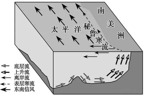 秘鲁渔场形成图片