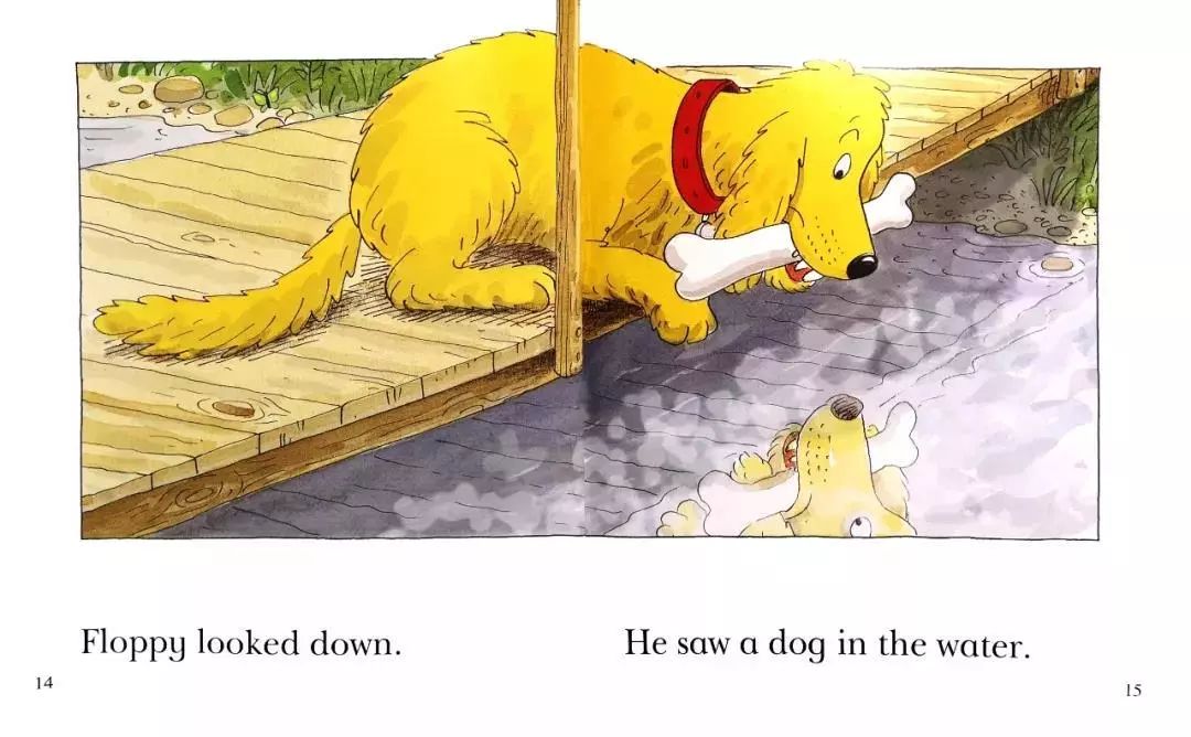 绘声绘语第65期floppyandthebone