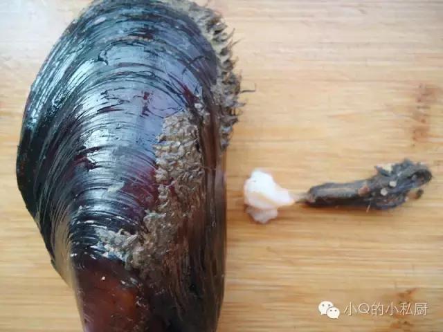 这种大的青口贝一般很少见到 遇到了赶快买回来这样做味道最好_毛海虹