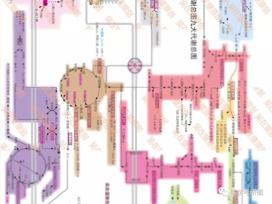 生化三大代谢图？太LOW了吧，看看 吴在望生化九大代谢全图_合成