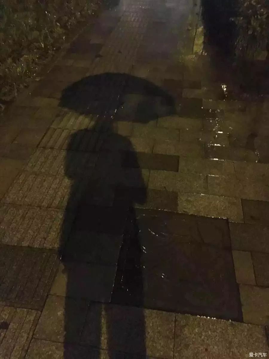 冷雨夜我特想归家