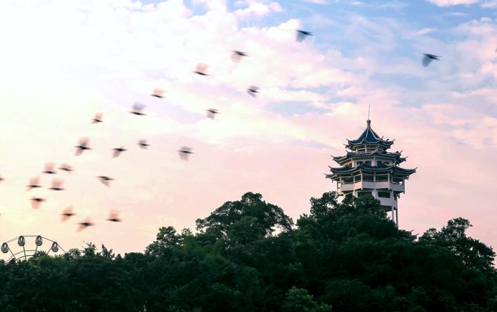 邻水文化地标——银鼎山八角楼