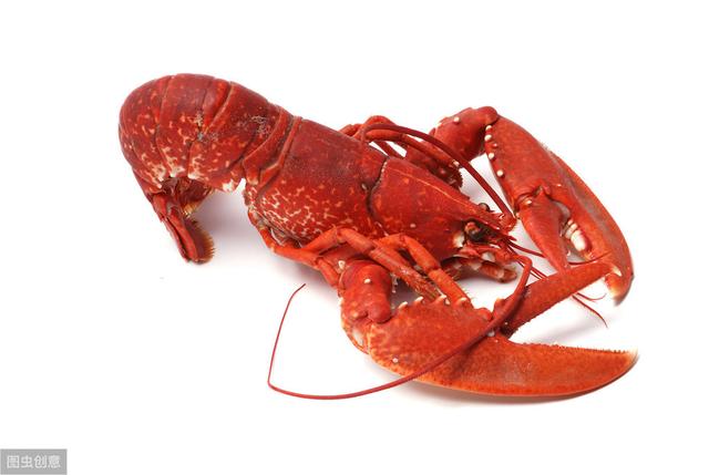 心理测试:哪一只龙虾最肉质鲜美?测试你最近有好运光顾吗
