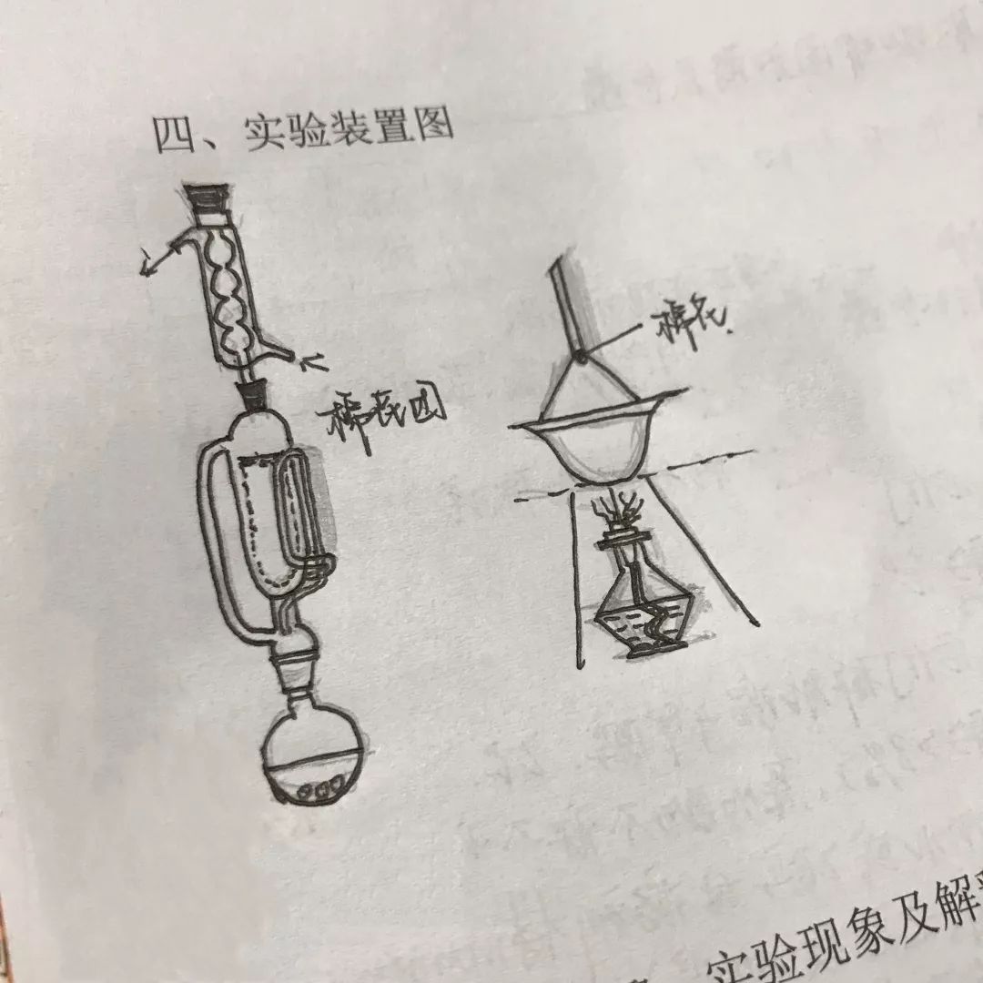 白大褂与实验室六号楼的穿梭之旅30