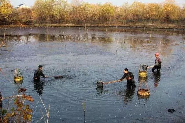 永州两村民下水潭抓鱼时腰部以下深陷泥潭无法动弹