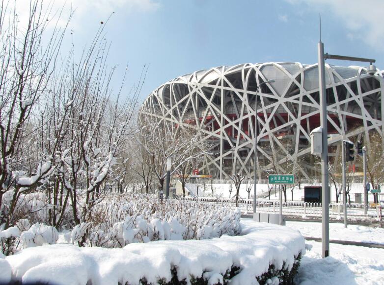 鸟巢雪景图片图片