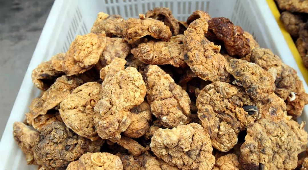 上海一居民楼里竟暗藏胎盘私人加工场厨房满是血渍令人作呕