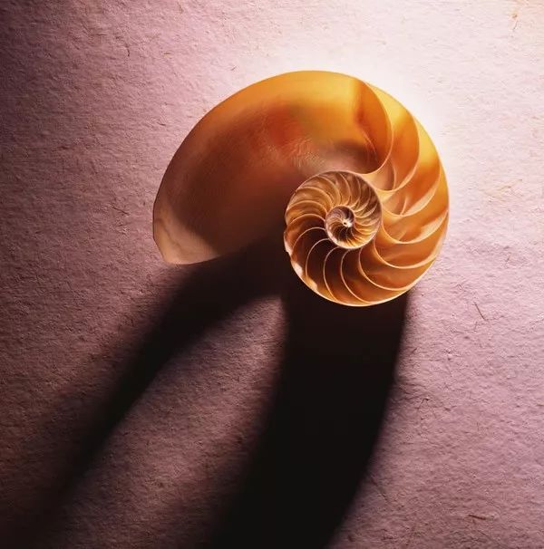 大自然的线条之美如此壮美