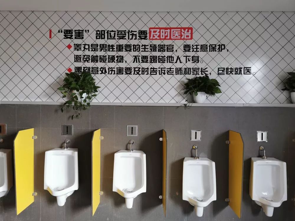 打造尊重,爱护生命的厕所文化,学校对男生与女生青春期的教育通过简单