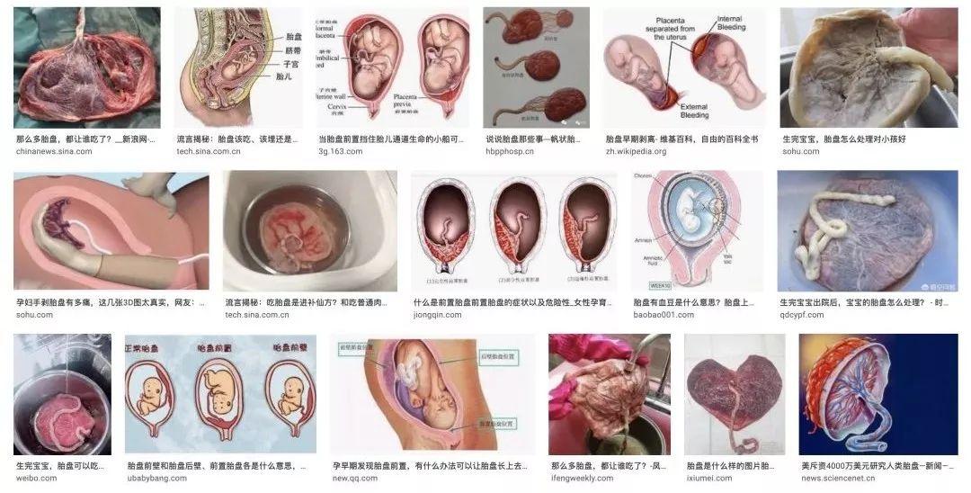 上海一居民楼里竟暗藏胎盘私人加工场厨房满是血渍令人作呕