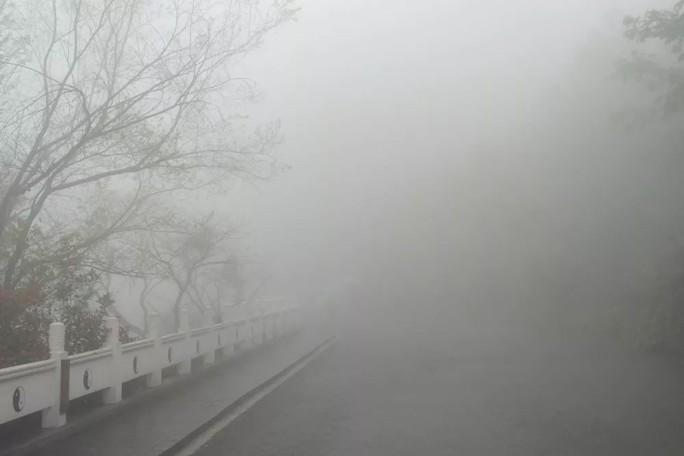 冬日晨雾图片图片