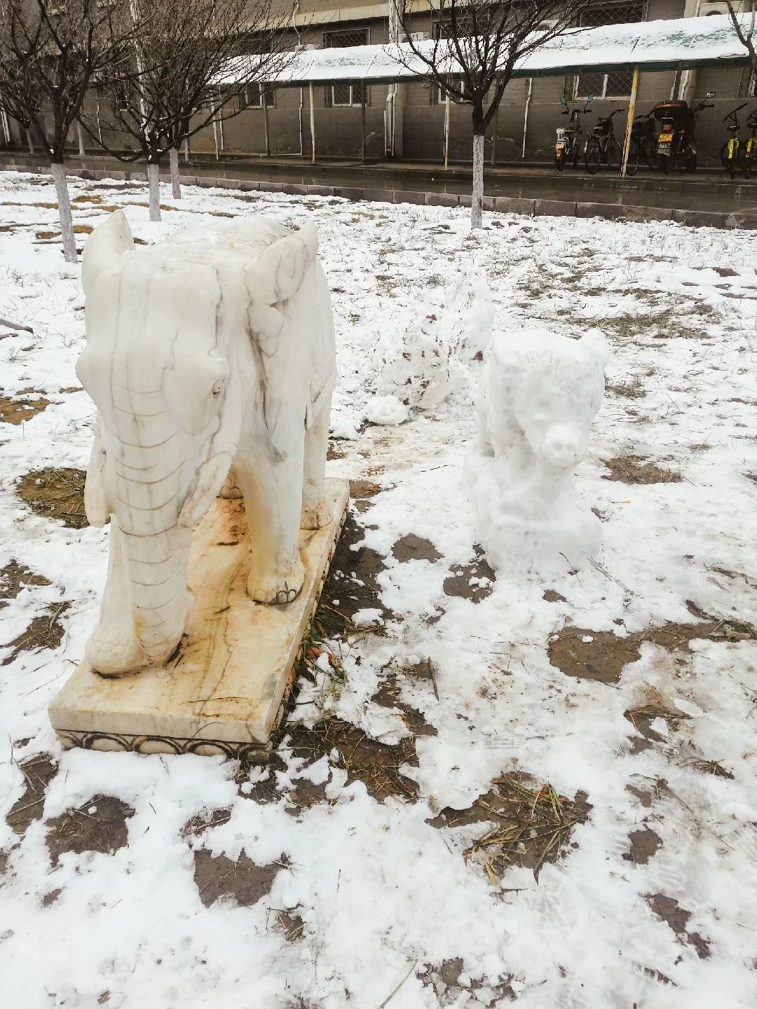 就在这里趁雪还在大家赶紧发挥自己的脑洞堆出自己的小雪人吧tips