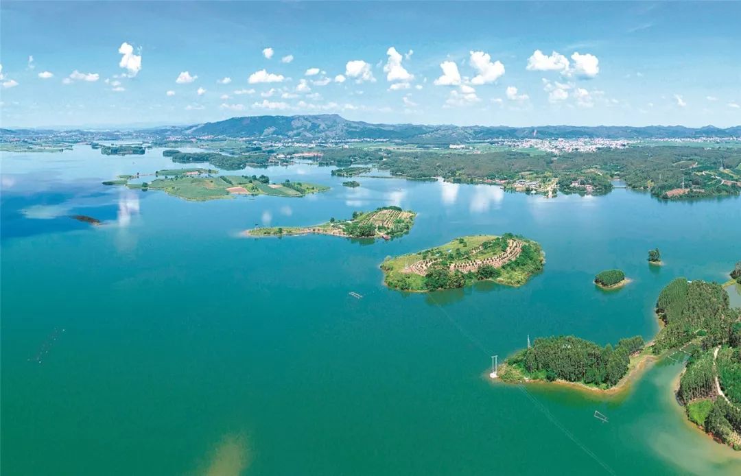 西津国家湿地公园项目拔擢地点位于西津水库的米埠库区,分为生态保育