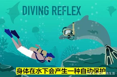 动物中,当然也包括了人类,这种反射经过将氧气引导在人的心脏和大脑