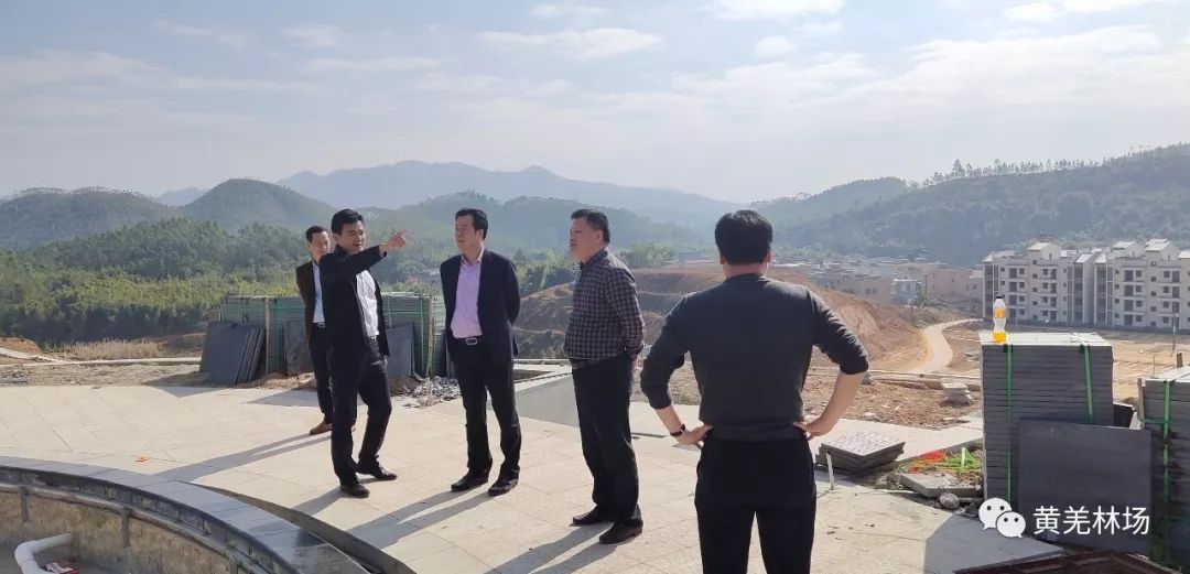 海丰县县长郑俊雄到黄羌林场检查冬季森林防灭火和安全生产工作