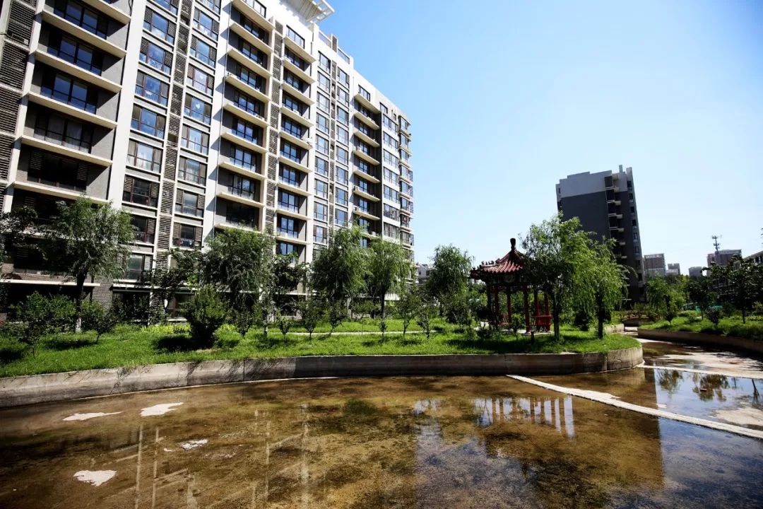 【美丽廊坊】廊坊市主城区公园游园服务半径覆盖率达90.58%