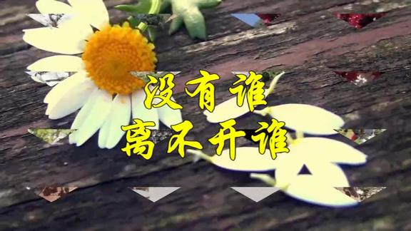 没有谁离不开谁说的真好