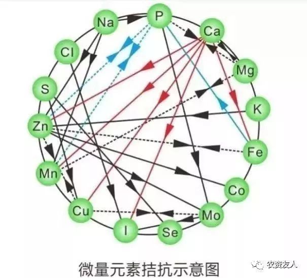 植物根系是植物吸收养分和水分的器官 细胞膜