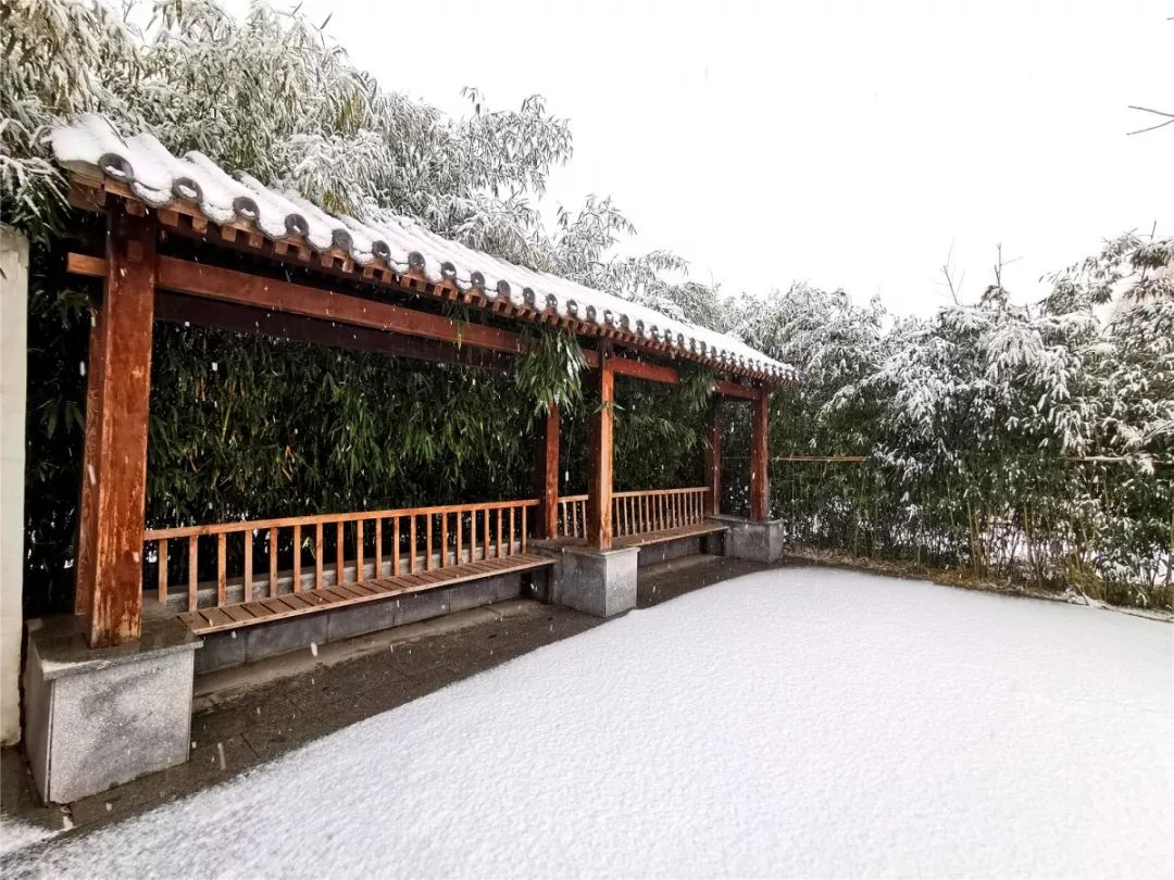 秀了庭院润了屋舍这才是冬雪里的园林美景