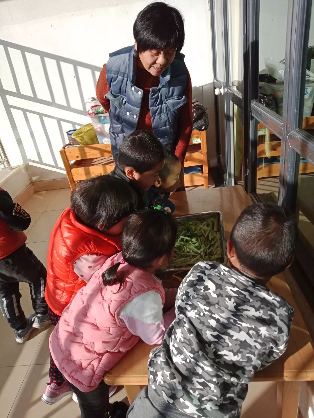 生成课程宁阳大地金桥幼儿园萝卜开会群英荟萃