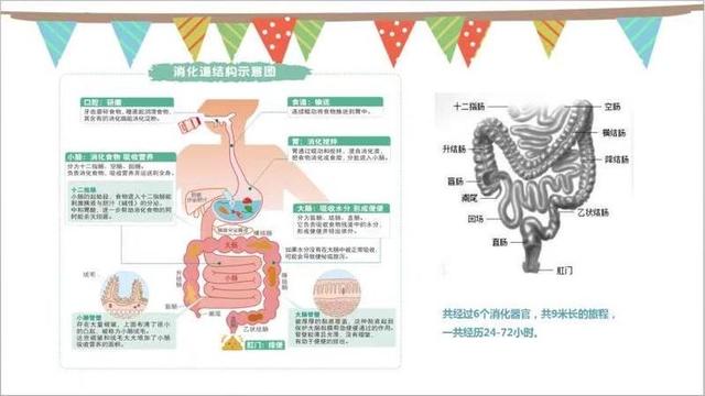 太原市小店区第三实验小学怎么样?有“肠”识更健康(图6)