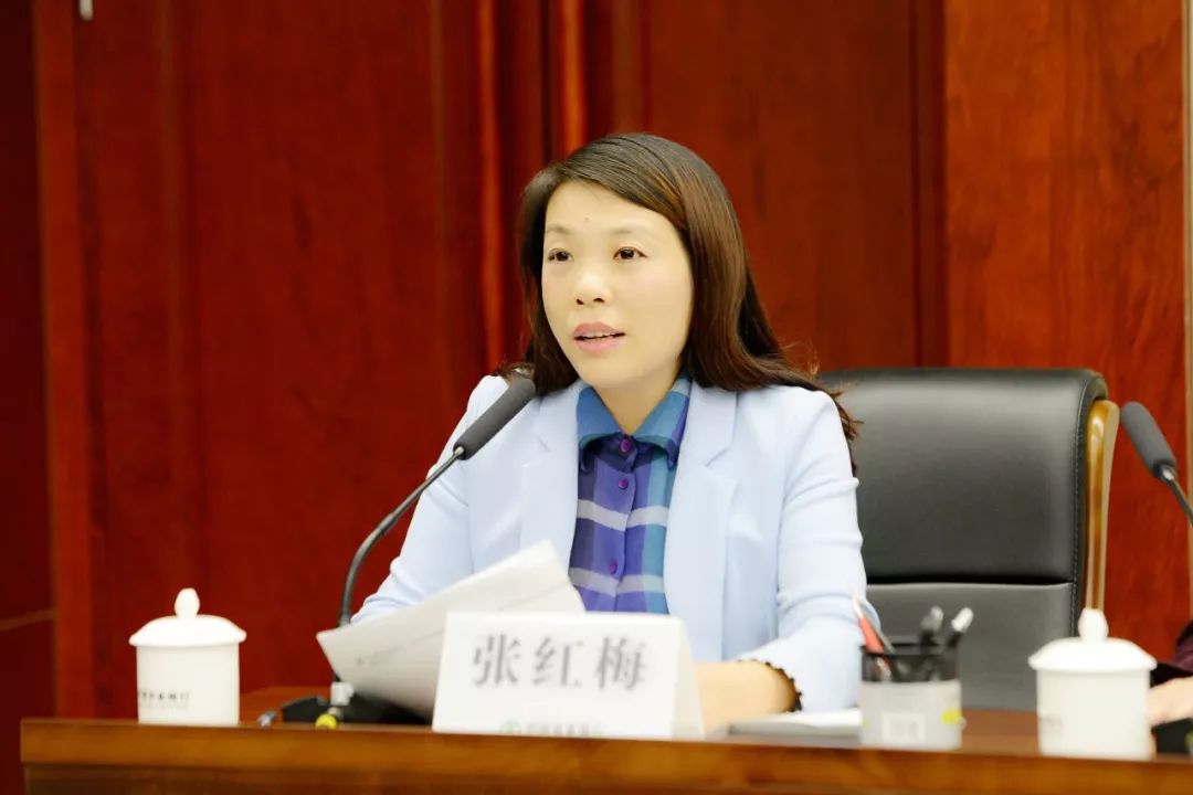 省行党委委员,副行长张红梅发言省行各部室汇报2020年工作方案返回