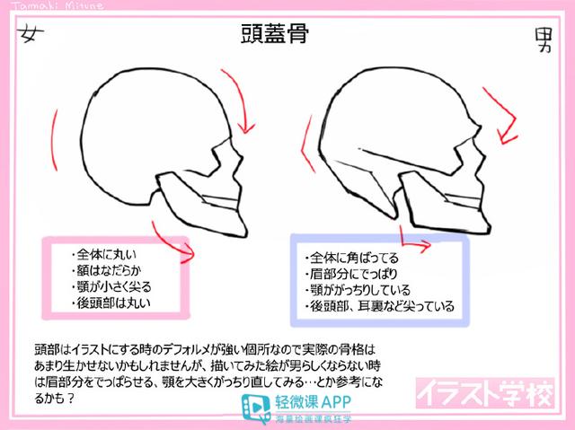 画女硬说男 男女人体的差异画法 男性