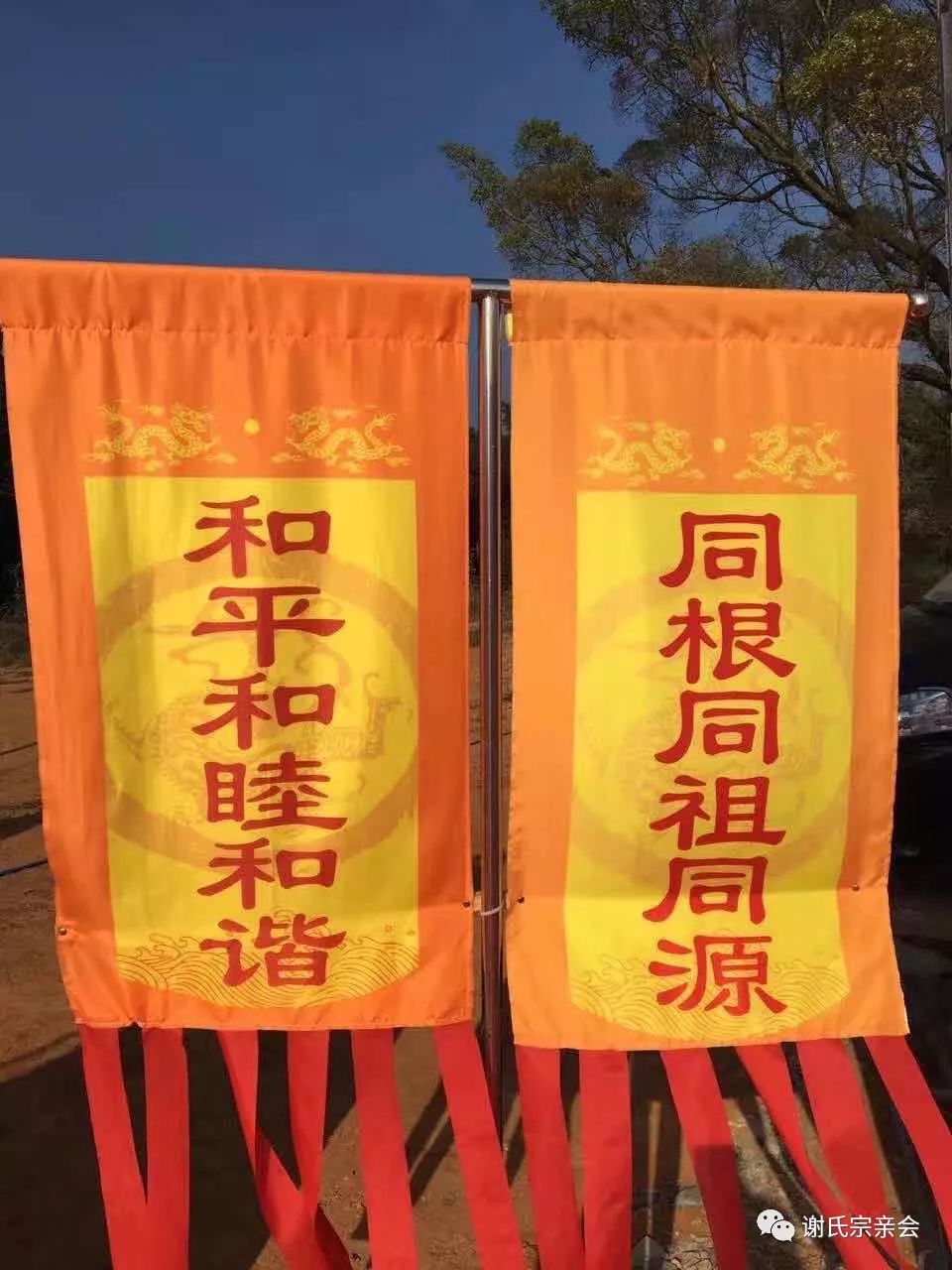 饶平溁溪谢氏宗祠2019年祭祖庆典