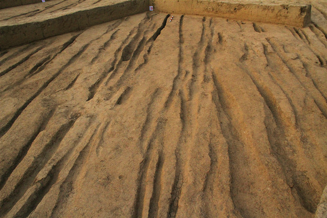 西安新寺遗址周边发现两处车辙密布的古代道路遗迹 极有可能与汉武帝"