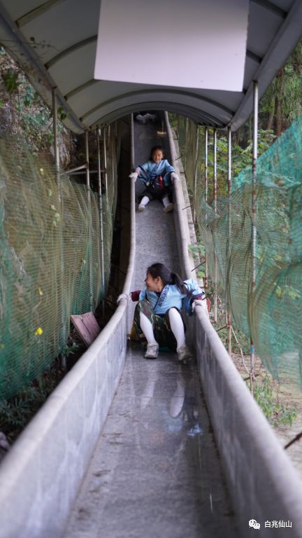 读万卷书,行万里路,白兆山研学旅行,让孩子遇见更好的自己
