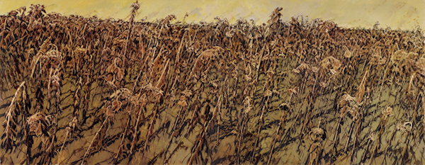 十六载以葵写意艺术家许江将在山东最大规模呈现葵颂