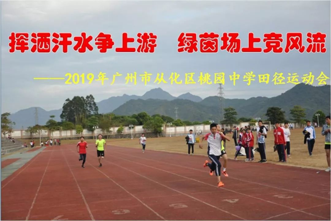 挥洒汗水争上游绿茵场上竞风流2019年广州市从化区桃园中学田径运动会