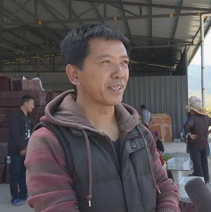 洱源县凤羽镇:多产业发展引领乡村振兴