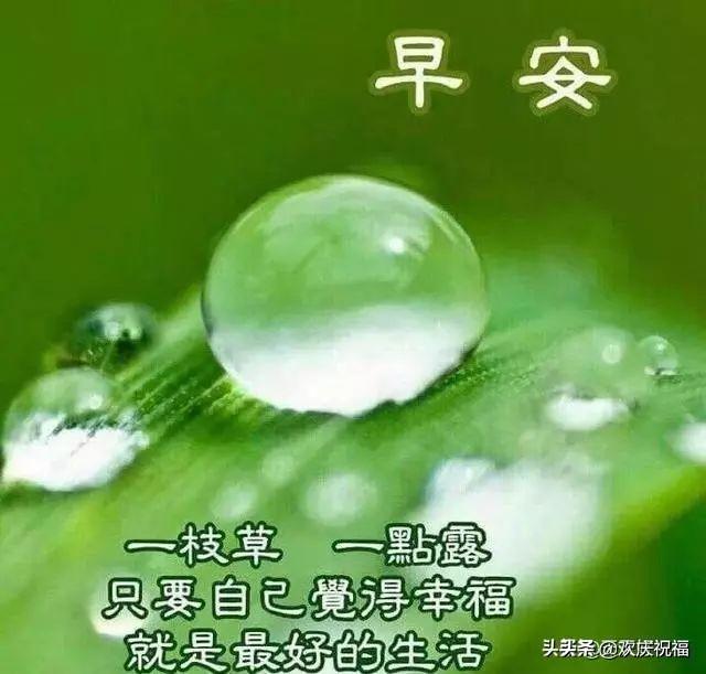 朋友圈很漂亮的早上好問候語圖片,很溫馨的早安問候祝福語句子