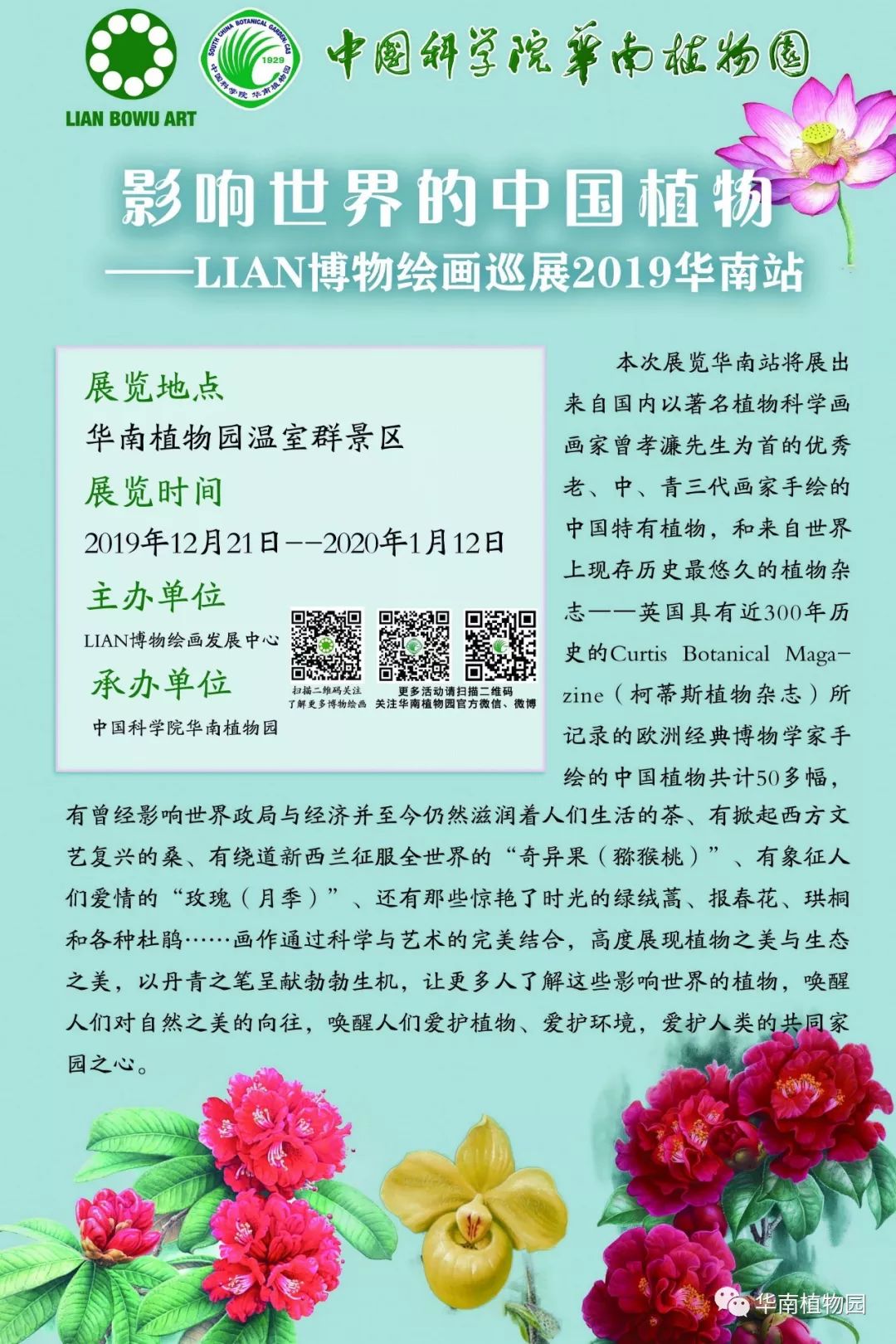 影响世界的中国植物 Lian博物绘画巡展12月21日华南植物园开幕 科普活动