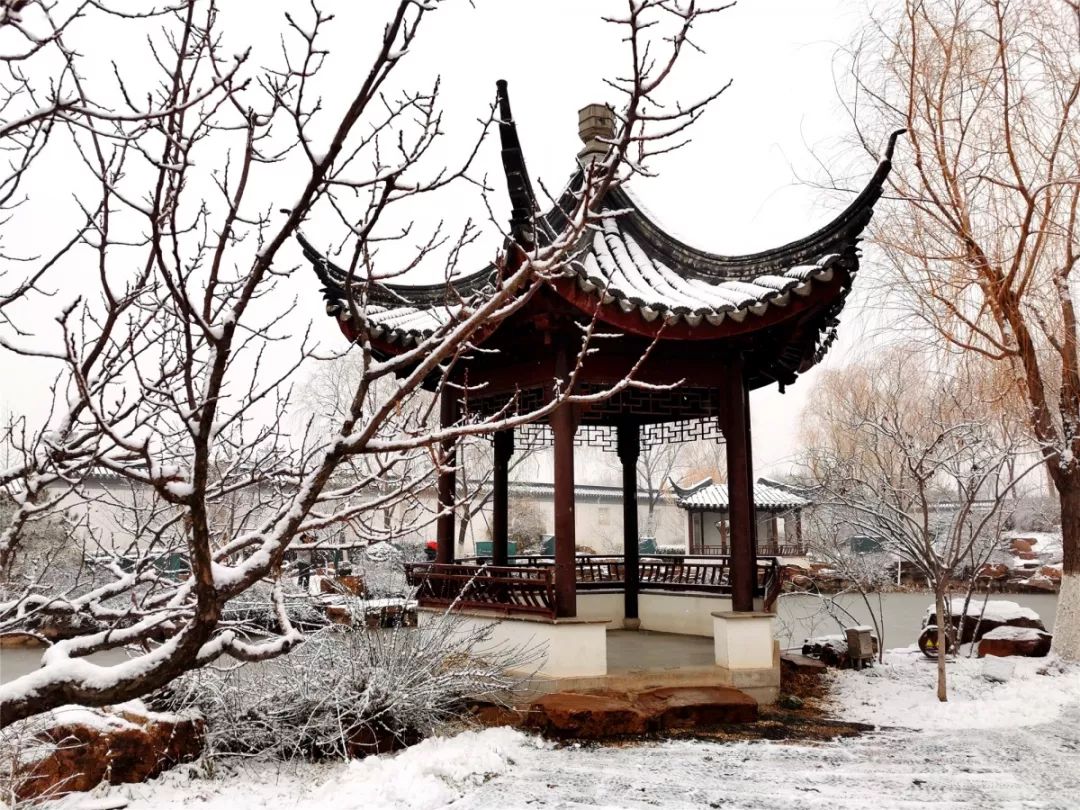 秀了庭院润了屋舍这才是冬雪里的园林美景