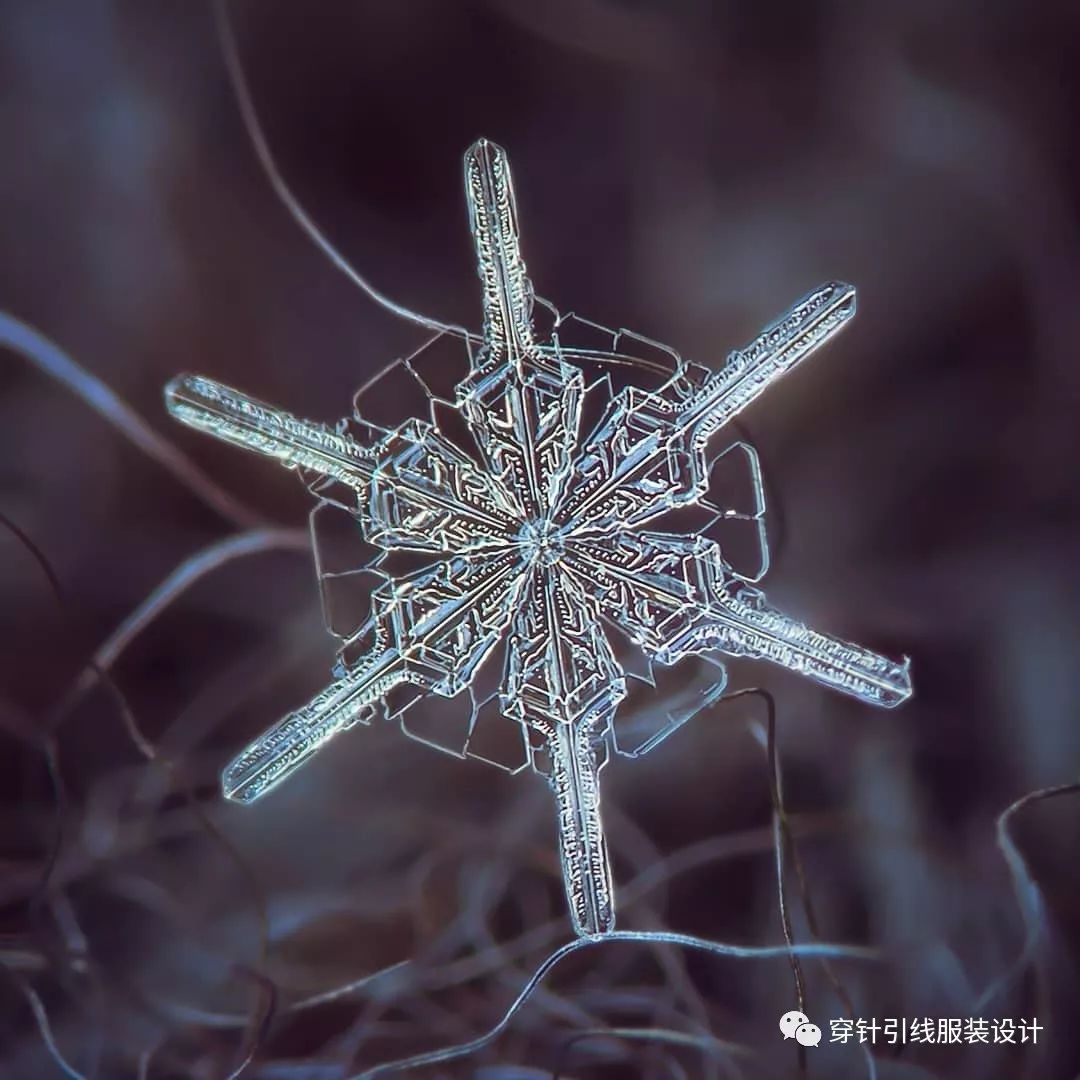 图案 | 雪花——大自然的几何作品
