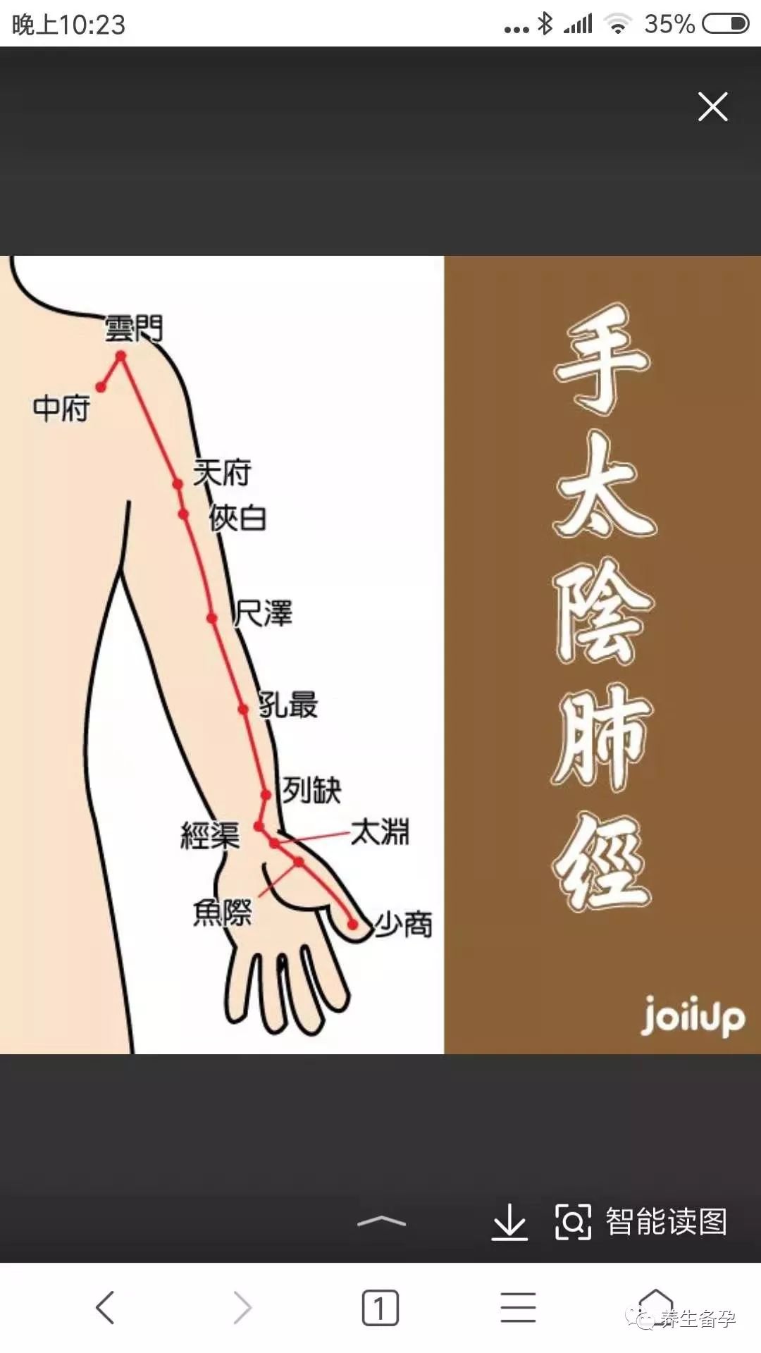 盆腔血供,使用大的力量来拍手,发出的声音清脆响亮,拍的时候十指张开