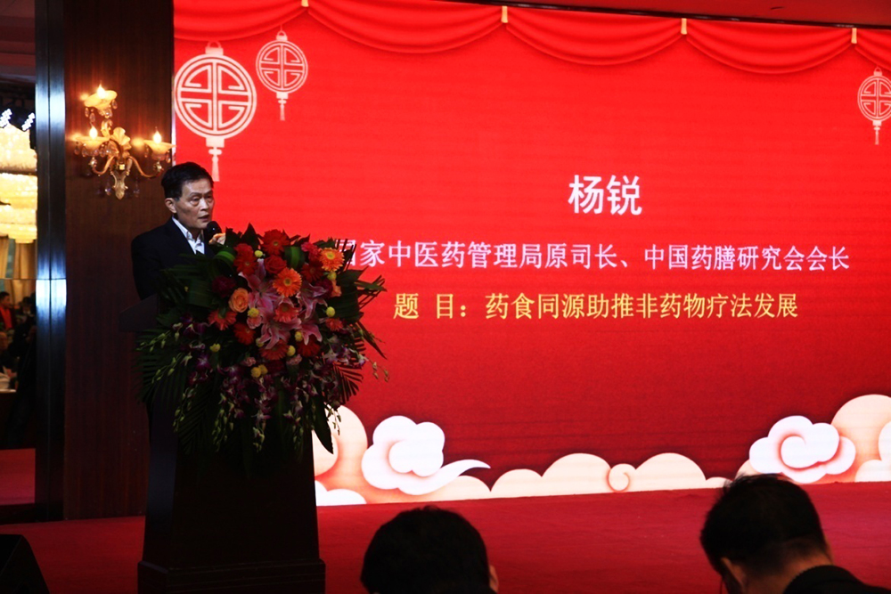 中国药膳研究会会长杨锐作报告首都医科大学附属北京安贞医院教授
