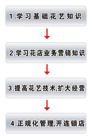 零基础开花店,花艺,管理,行业,电子商务都不懂怎么办?(附花店教程)