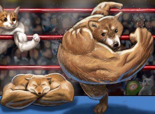 魔性肌肉动物格斗动物之斗12月19日上市