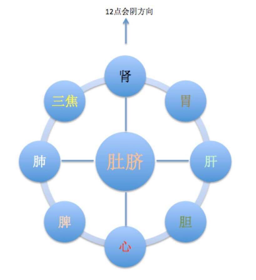 肚脐对应的八卦图高清图片