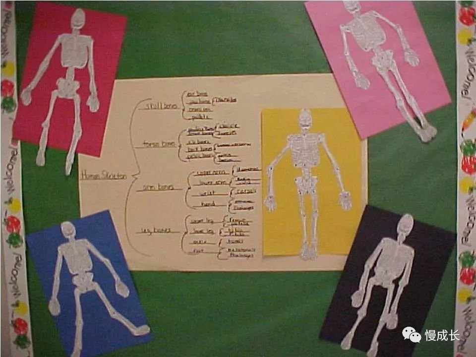 2,bubble map气泡图和double bubble map双重气泡图