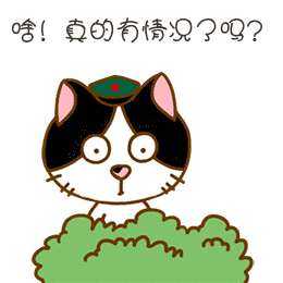 你不是警察没权力管导游带客乘黑车还怼交警