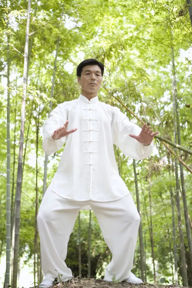 太极起势得重要性超乎你的想象-搜狐大视野-搜狐新闻