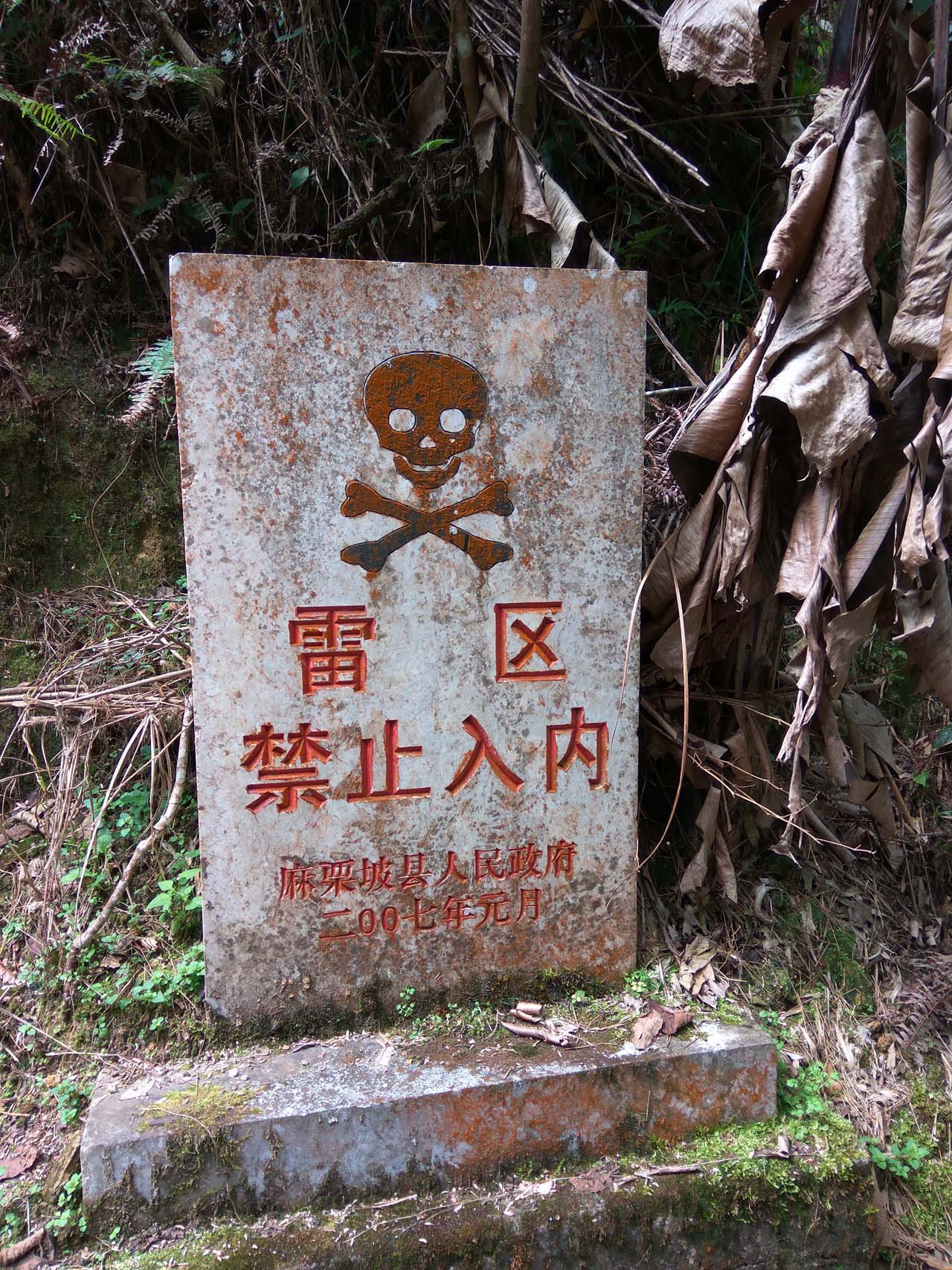 原创宣传干事踏老山雷场,背出被炸战友:呕吐血水,从我肩上淌下