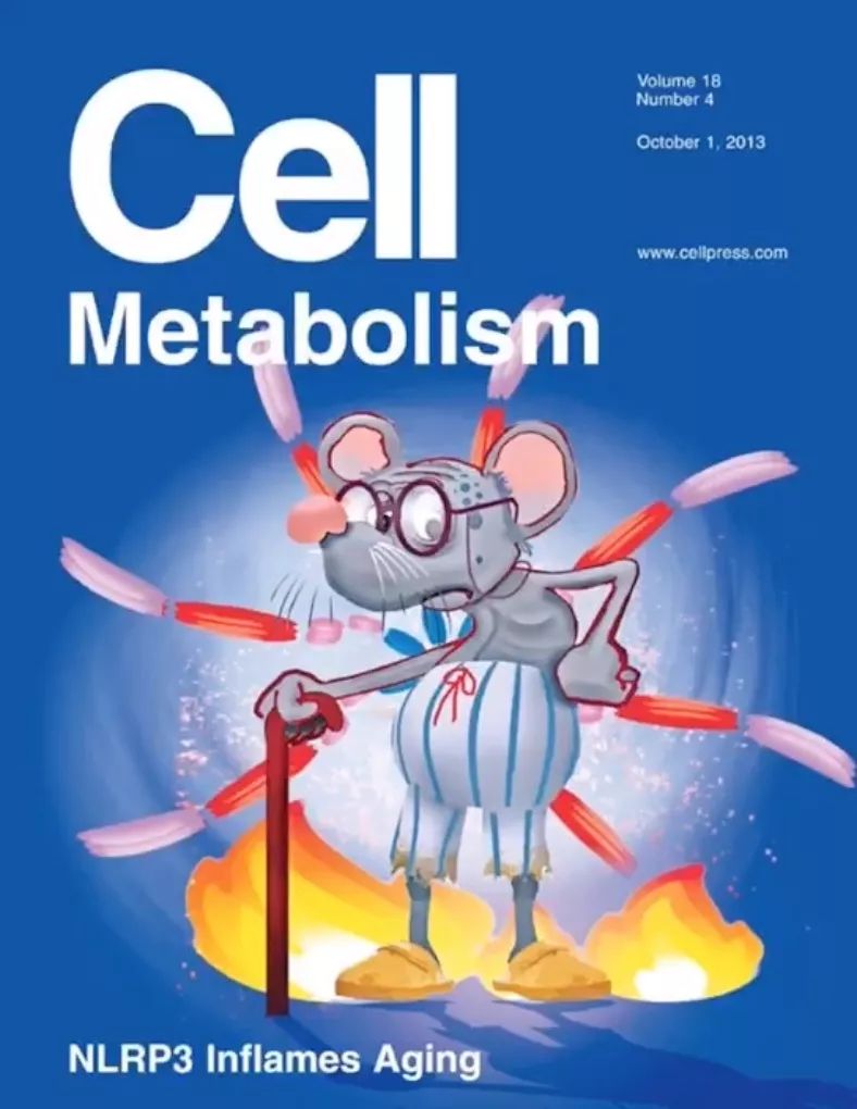 10分钟教你画cell子刊封面附视频教学