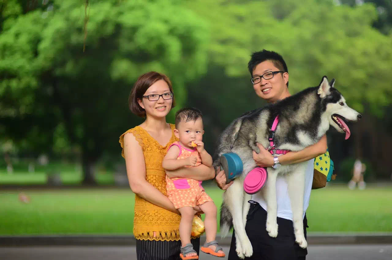 从三口到五口,他们每年带娃带汪在同一地方拍全家福