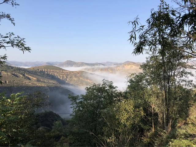 刘跃国个人简历图片